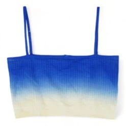 Spiritual Gangster Blue Color Block Cropped Camisole